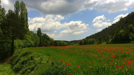 Sant Quirze Safaja