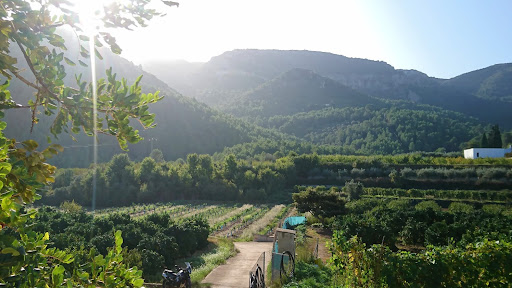 Aielo de Rugat