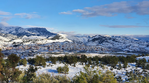 Tuejarte S.l.