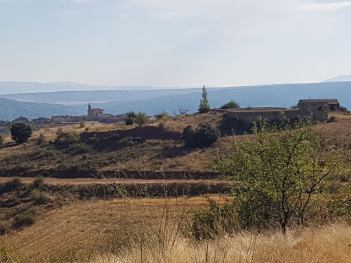 Orcajo