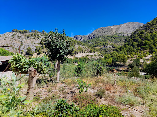 Bar L' Era