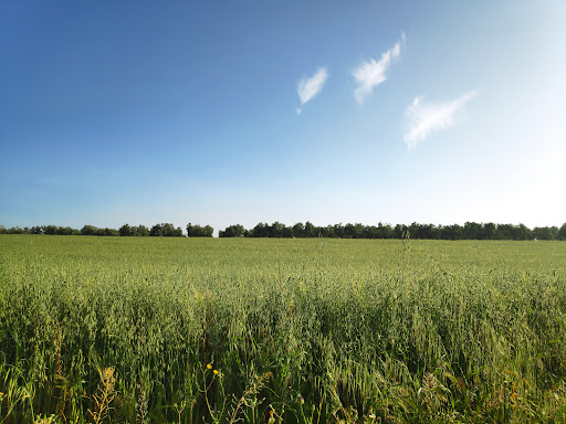 San Sebastián de los Ballesteros