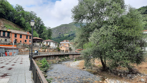 CPR Belmonte De Miranda