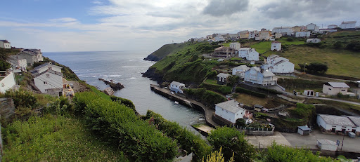 Ortiguera